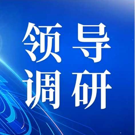 陇南市宕昌县政协主席何玉柏一行调研阿普未来