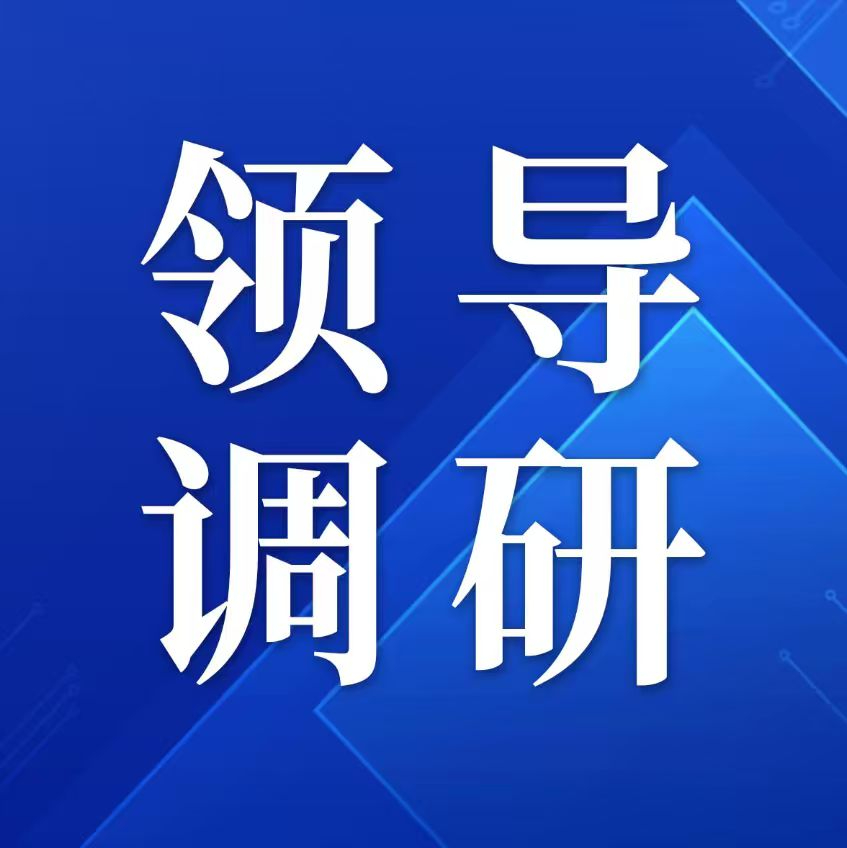 安康市人社局党组书记、局长卫莎莎一行调研阿普未来